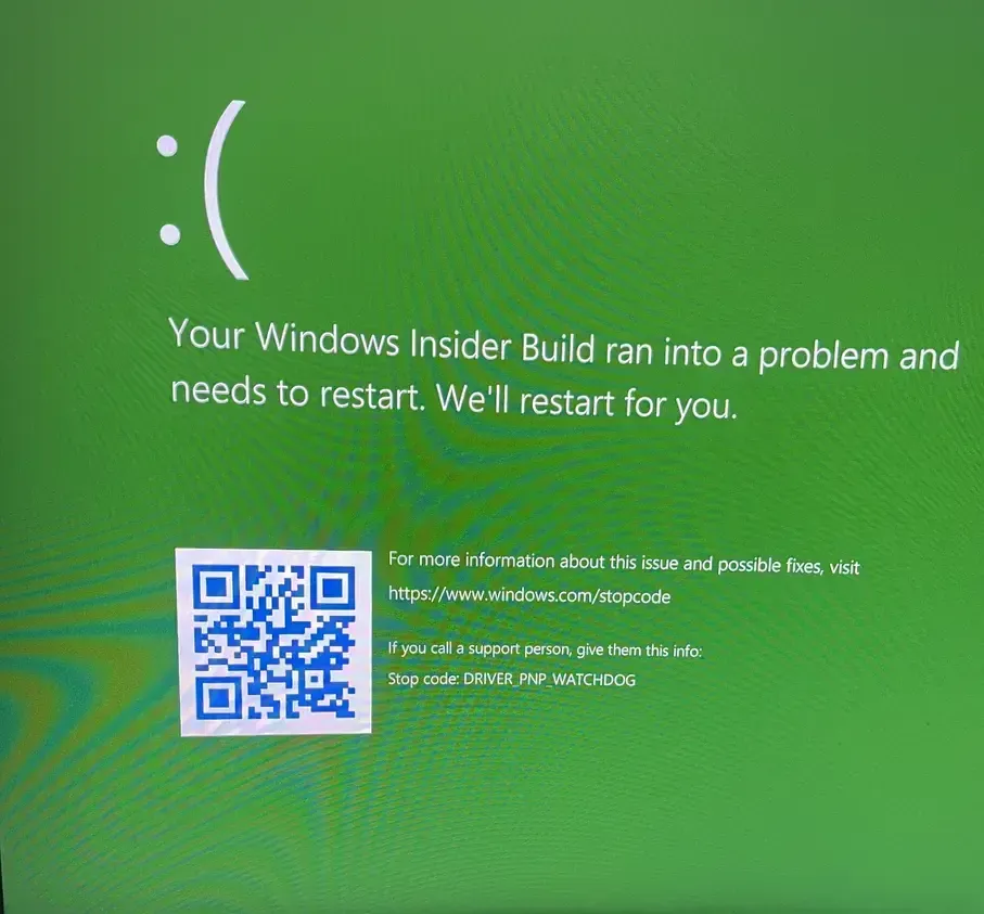 A 'Green Screen of Death' during the Windows 11 installation process
